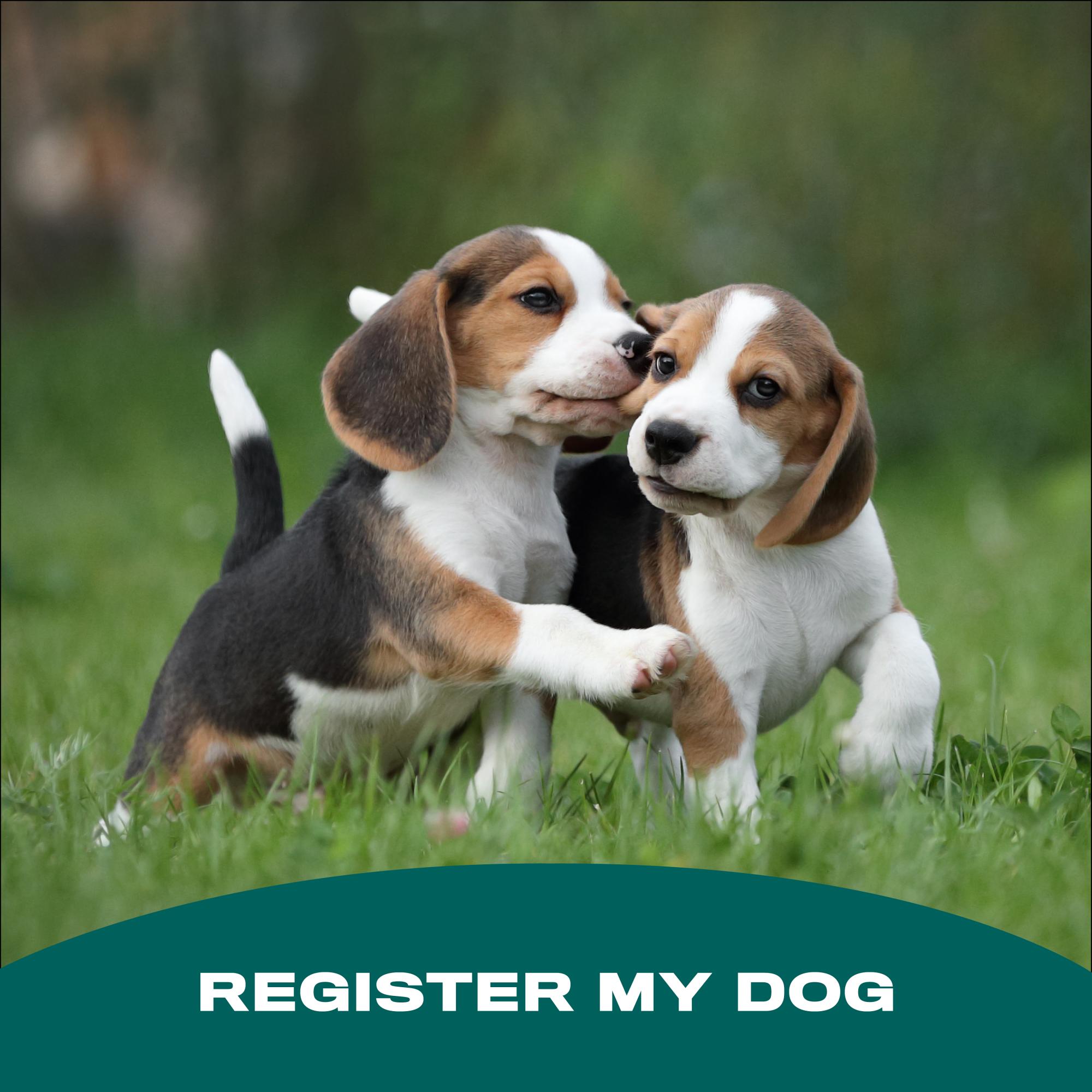 Register My Dog