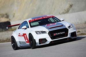 Click here to open the Audi TT cup gallery