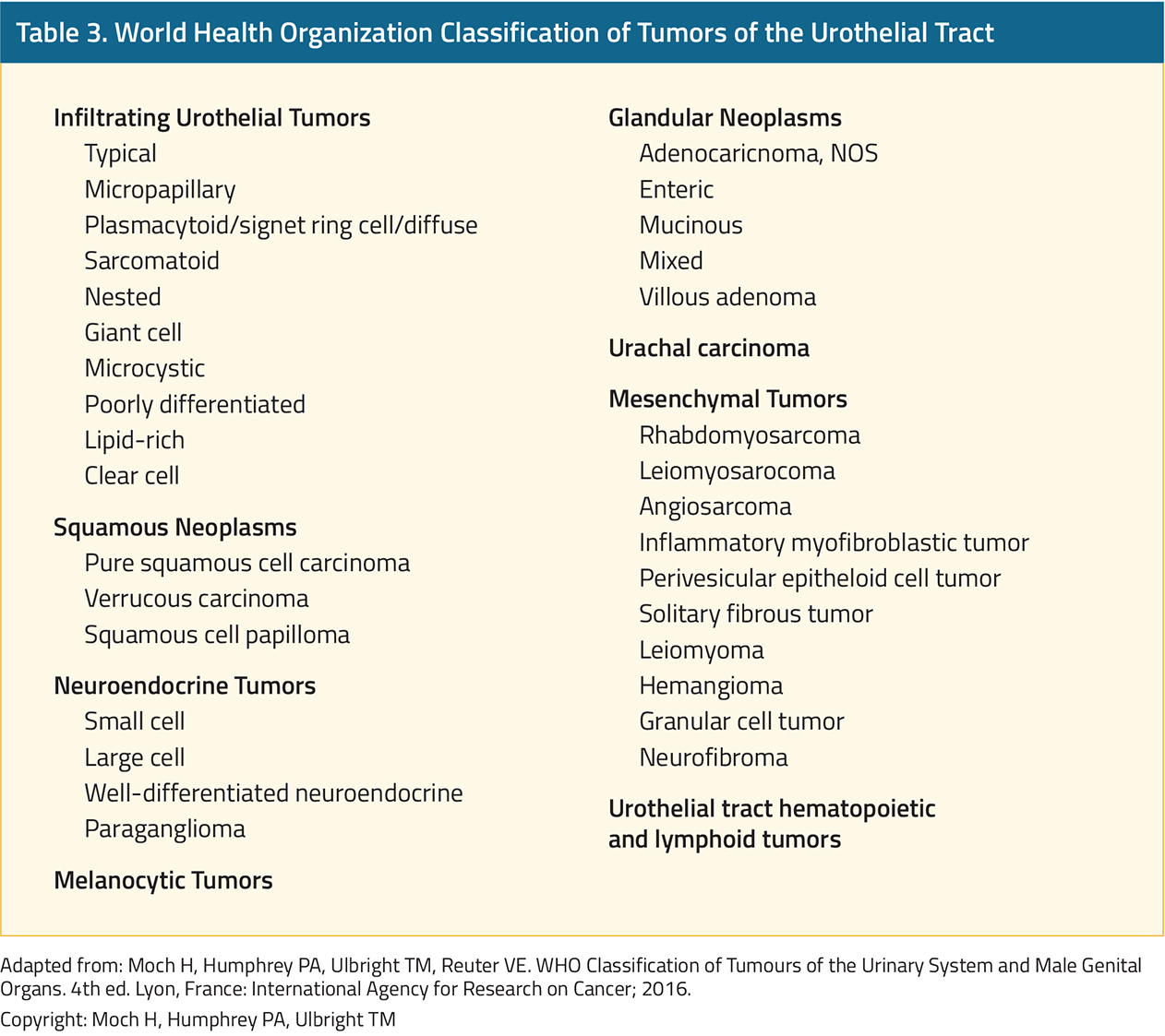 Bladder Cancer Grading image.