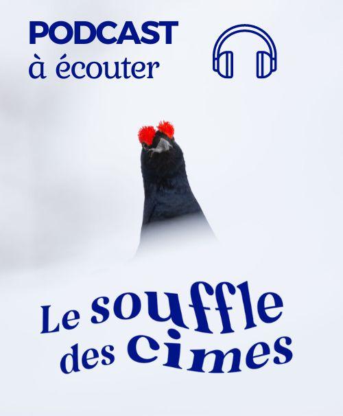 Podcast Le souffle des cimes