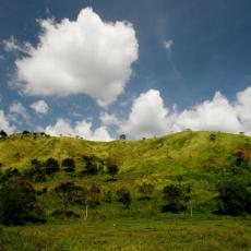 Sultan Kudarat Landscape