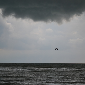 Lake Erie Storm, Eastlake