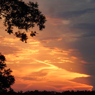 South Georgia sunset, Edison