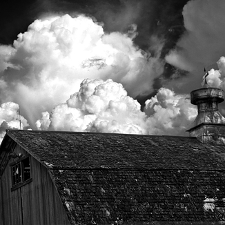 Day Out at the Barn, Woodstock