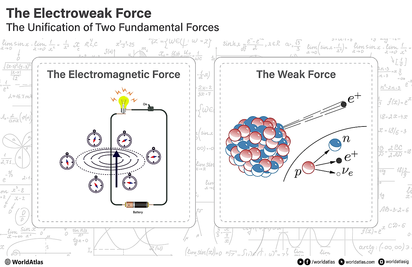 the electroweak force