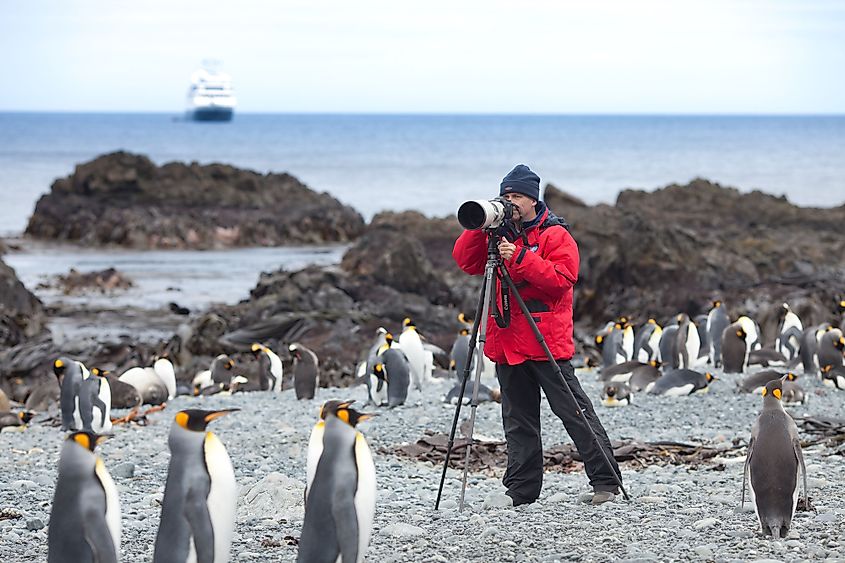 Macquarie Island