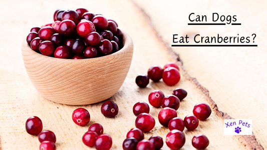 Can Dogs Eat Cranberries?