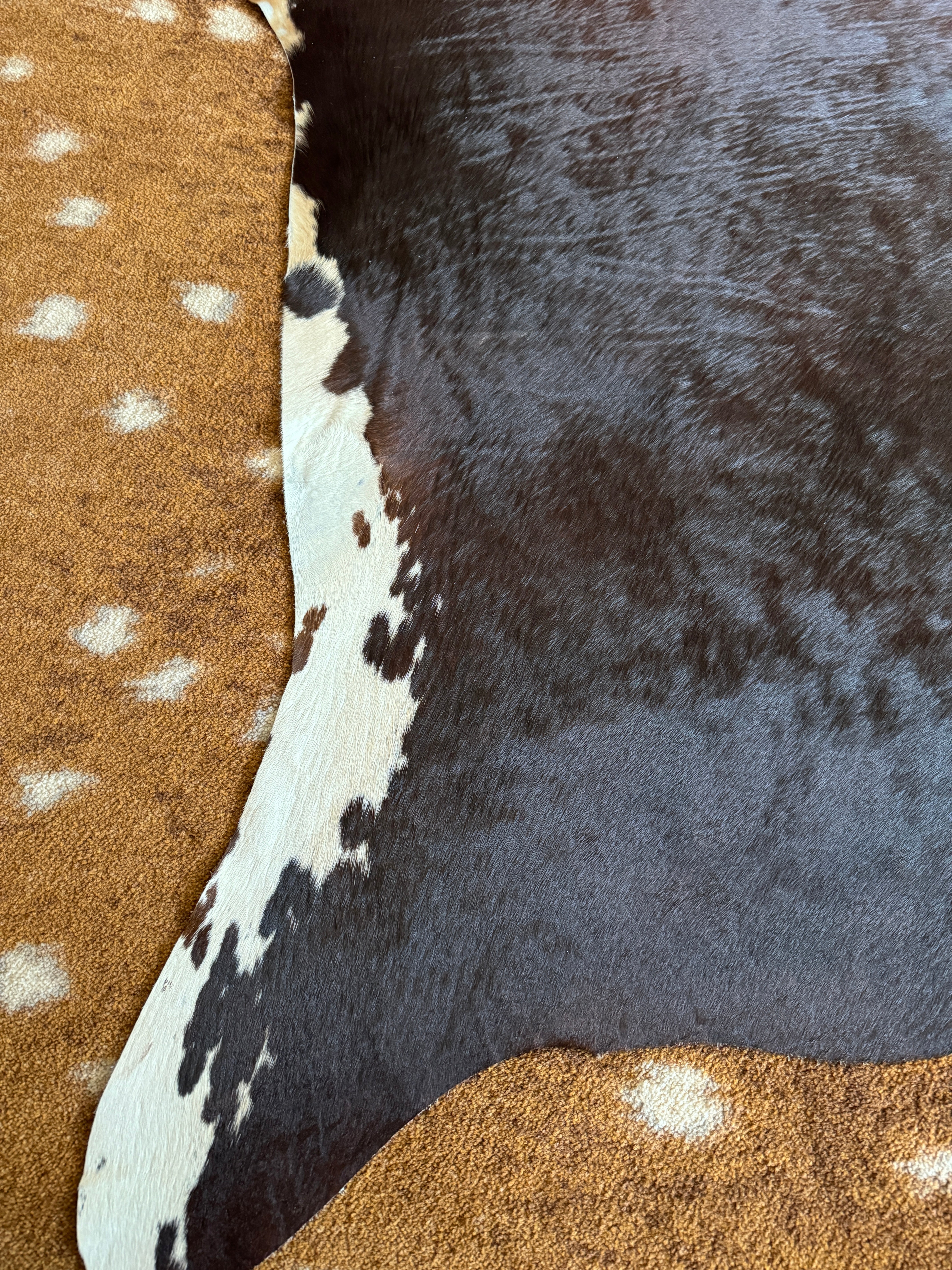 Leg detail on cowhide rug - Your Western Decor